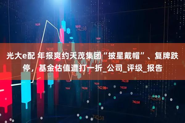 光大e配 年报爽约天茂集团“披星戴帽”、复牌跌停，基金估值遭打一折_公司_评级_报告