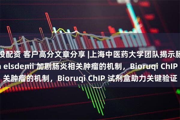 易投配资 客户高分文章分享 |上海中医药大学团队揭示肠道菌 Megasphaera elsdenii 加剧肠炎相关肿瘤的机制，Bioruqi ChIP 试剂盒助力关键验证